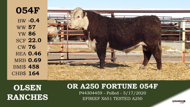 Lot #054F - OR A250 FORTUNE 054F