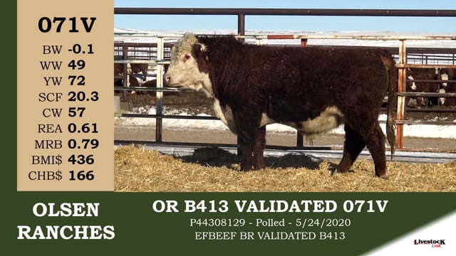 Lot #071V - OR B413 VALIDATED 071V