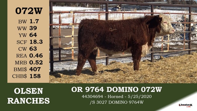 Lot #072W - OR 9764 DOMINO 072W