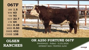 Lot #067F - OR AD50 FORTUNE 067F