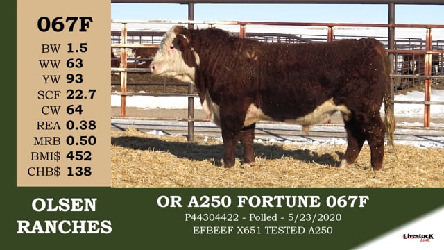Lot #067F - OR AD50 FORTUNE 067F