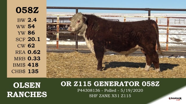 Lot #058Z - OR Z115 GENERATOR 058Z