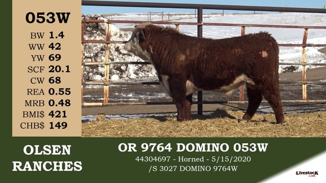 Lot #053W - OR 9764 DOMINO 053W