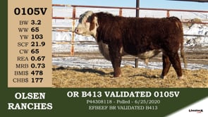 Lot #0105V - OR B413 VALIDATED 0105V