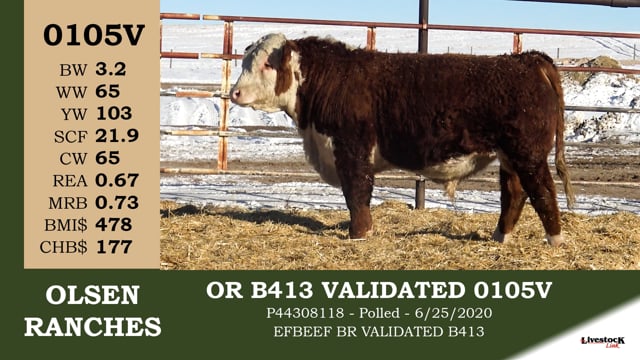 Lot #0105V - OR B413 VALIDATED 0105V