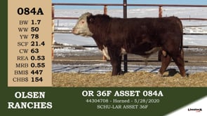 Lot #084A - OR 36F ASSET 084A