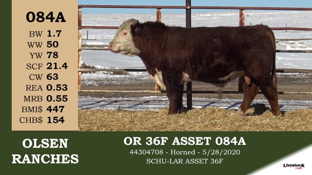 Lot #084A - OR 36F ASSET 084A