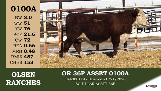 Lot #0100A - OR 36F ASSET 0100A