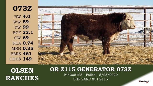 Lot #073Z - OR Z115 GENERATOR 073Z