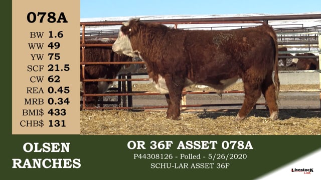 Lot #078A - OR 36F ASSET 078A