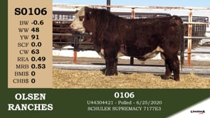 Lot #S0106 - S0106