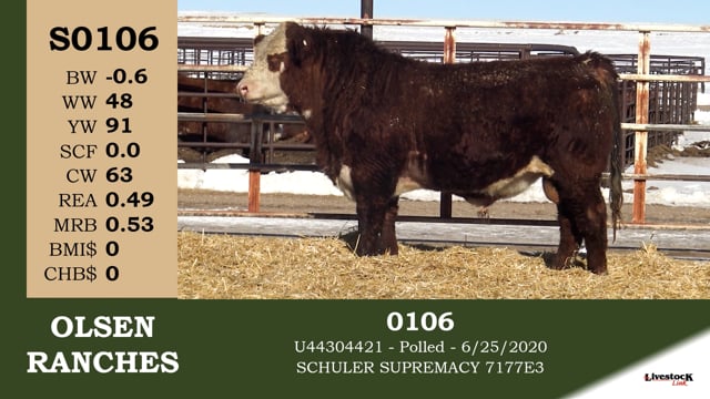 Lot #S0106 - S0106