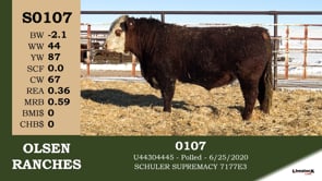 Lot #S0107 - S0107