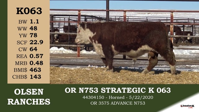 Lot #K063 - OR N753 STRATEGIC K 063