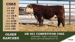 Lot #C065 - OR 501 COMPETITOR C065