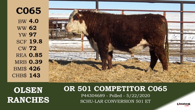 Lot #C065 - OR 501 COMPETITOR C065