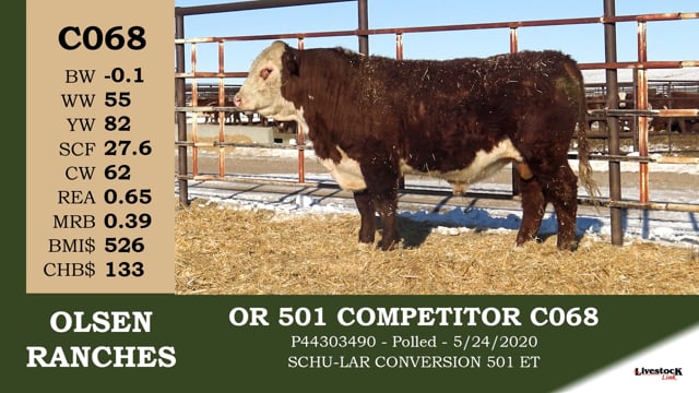 Lot #C068 - OR 501 COMPETITOR C068