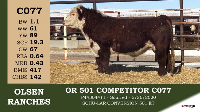 Lot #C077 - OR 501 COMPETITOR C077