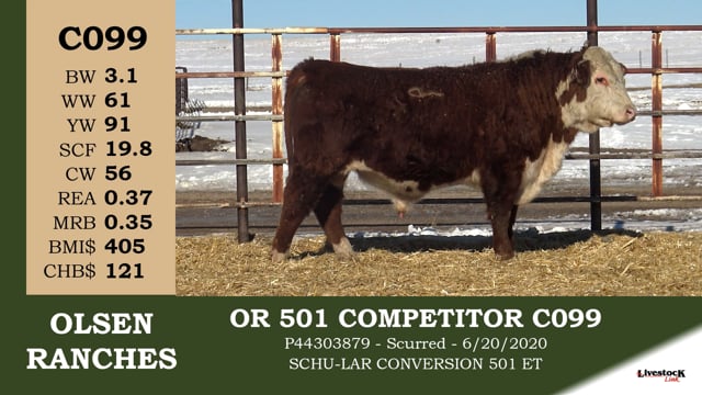 Lot #C099 - OR 501 COMPETITOR C099
