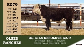 Lot #E079 - OR E158 RESOLUTE E079