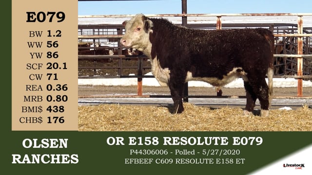 Lot #E079 - OR E158 RESOLUTE E079