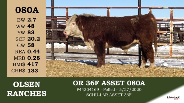 Lot #080A - OR 36F ASSET 080A