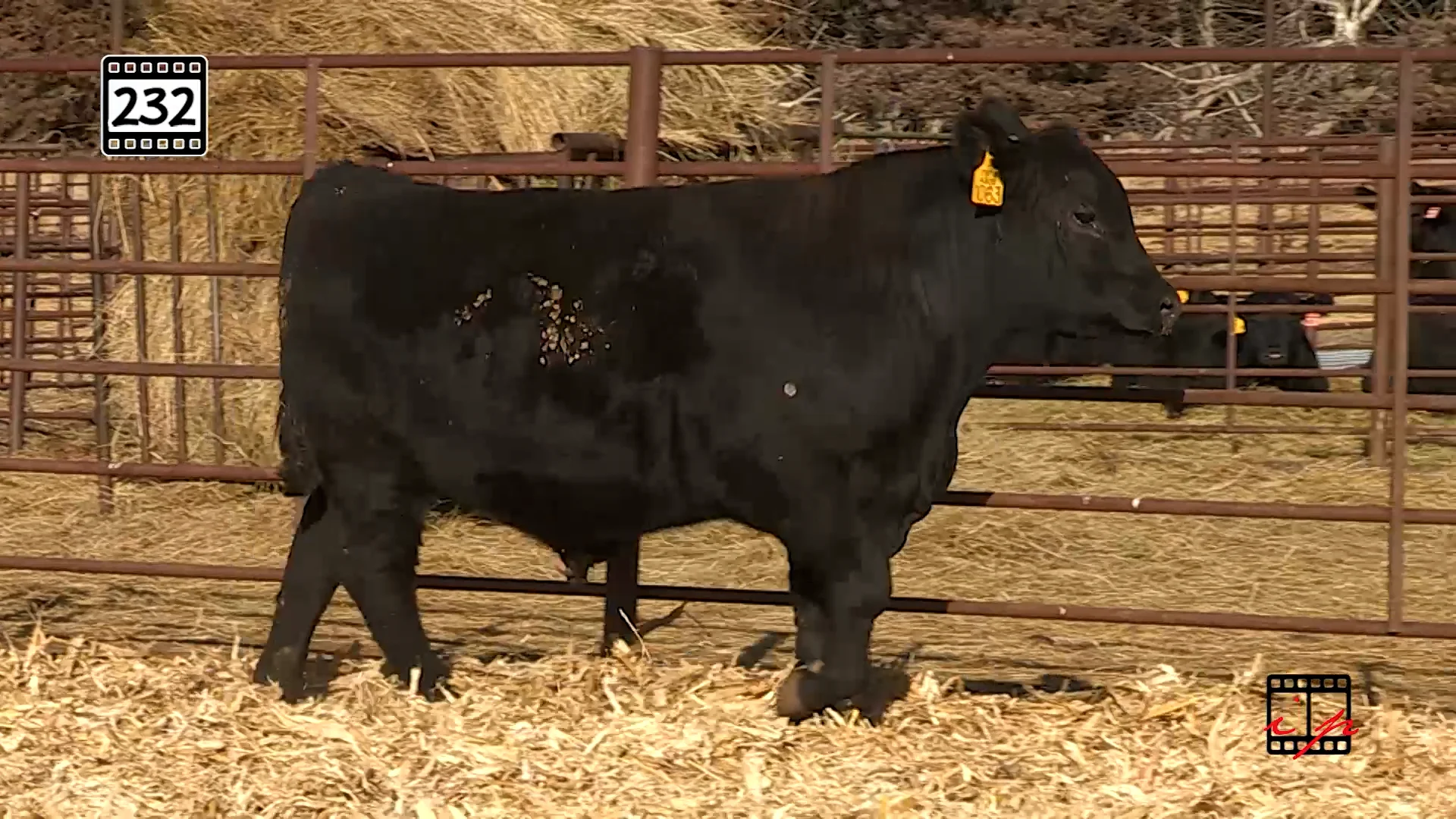 232.mp4 on Vimeo