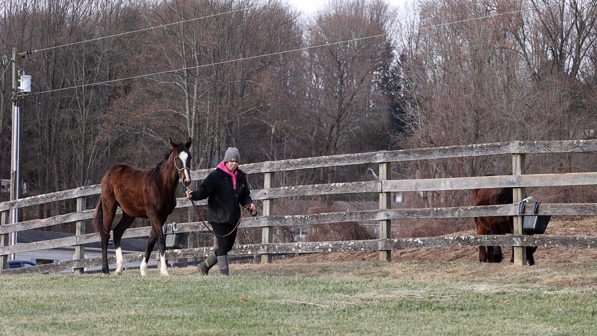 St. Omer's Farm202201199.mp4 on Vimeo