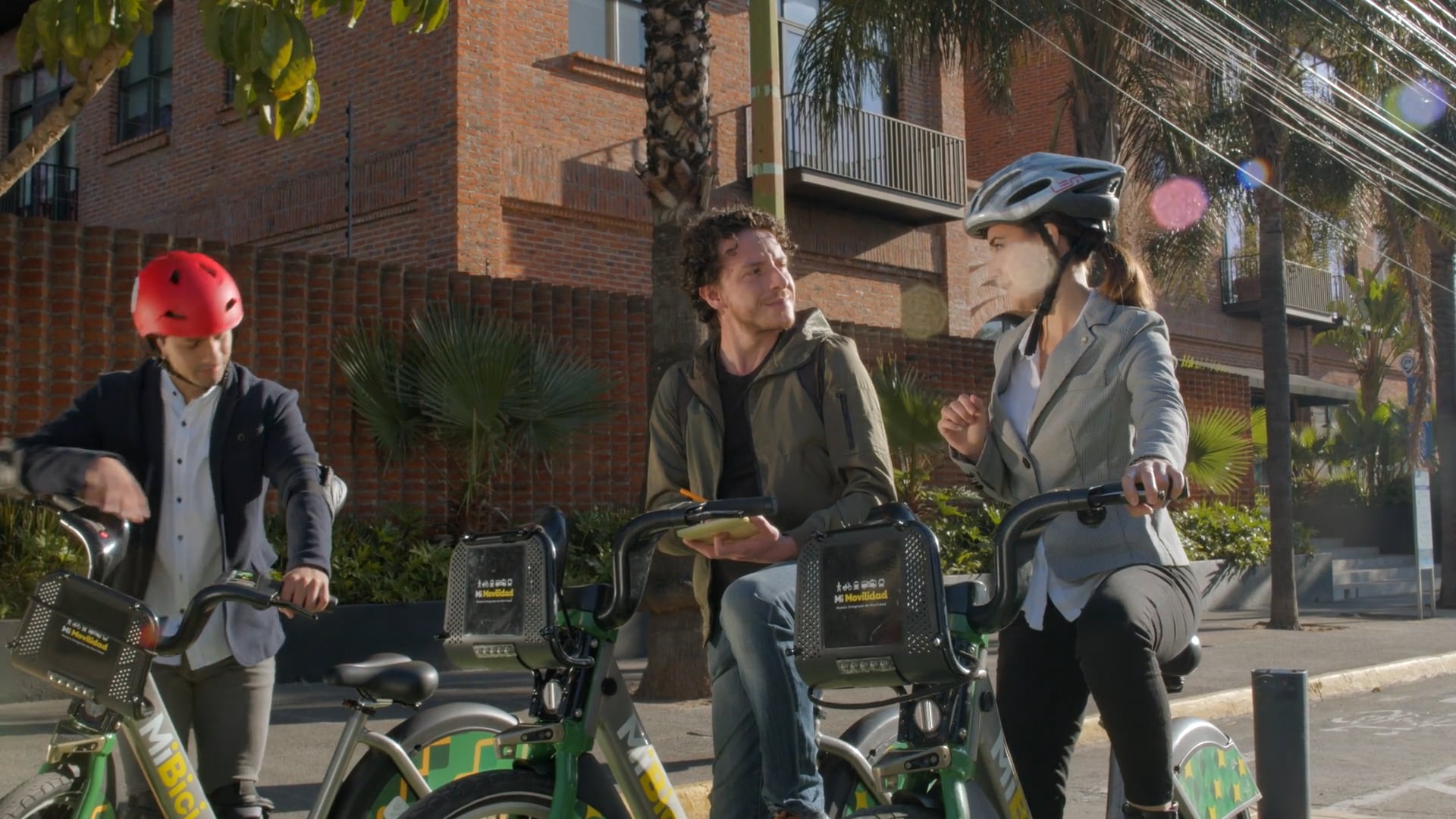 Anatomia de la Calle