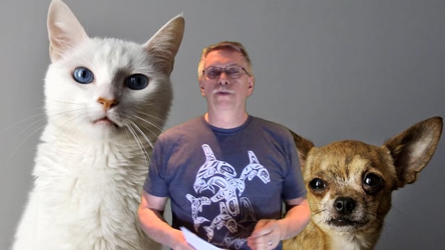 The Whiskas Coverup