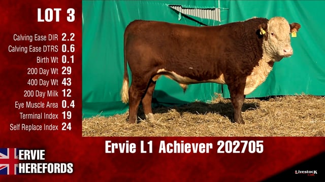Lot #3 - Ervie L1 Achiever 202705