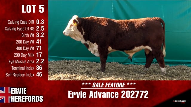 Lot #5 - -OUT- Ervie Advance 202772 -OUT-