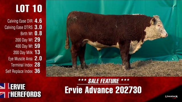 Lot #10 - Ervie Advance 202730