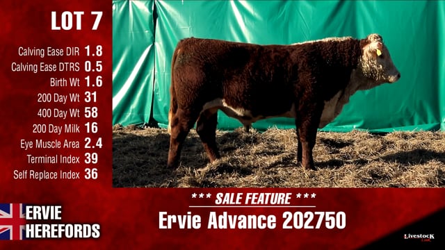 Lot #7 - Ervie Advance 202750