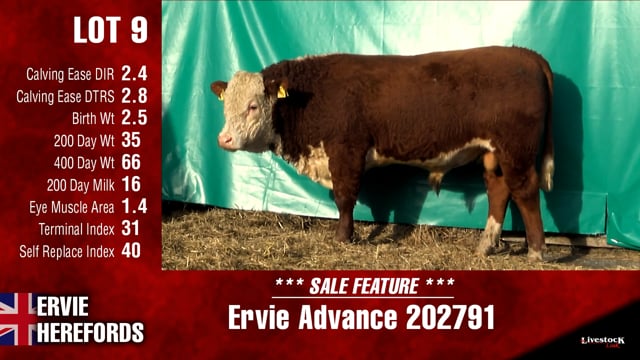 Lot #9 - Ervie Advance 202791