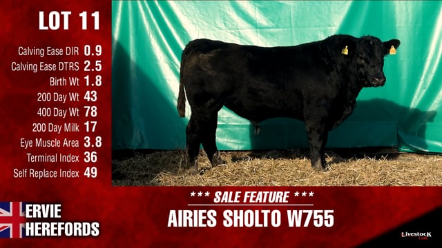 Lot #11 - AIRIES SHOLTO W755