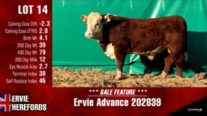 Lot #14 - Ervie Advance 202839