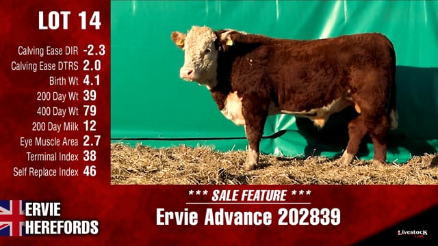 Lot #14 - Ervie Advance 202839