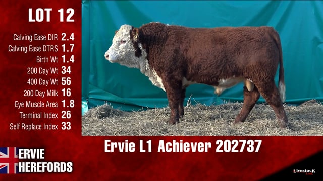 Lot #12 - Ervie L1 Achiever 202737