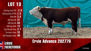Lot #13 - Ervie Advance 202776