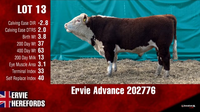 Lot #13 - Ervie Advance 202776