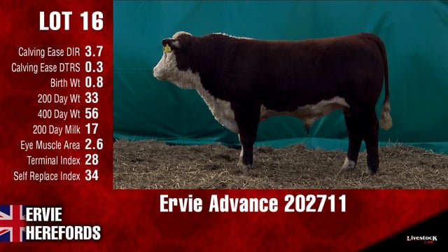 Lot #16 - Ervie Advance 202711