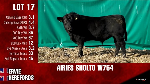 Lot #17 - AIRIES SHOLTO W754