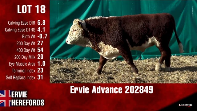 Lot #18 - Ervie Advance 202849