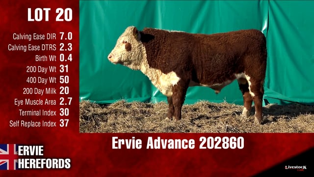 Lot #20 - Ervie Advance 202860