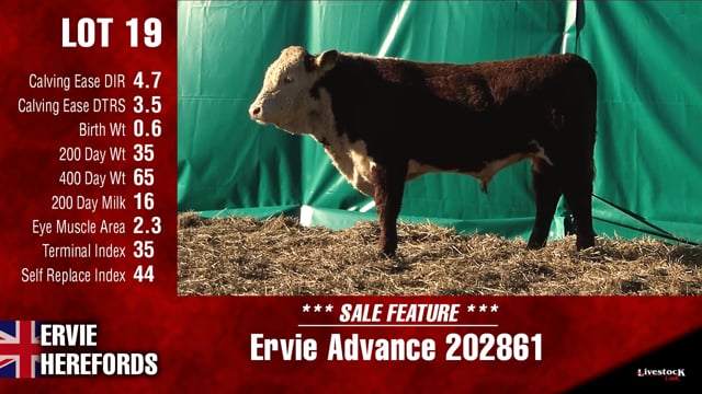 Lot #19 - Ervie Advance 202861