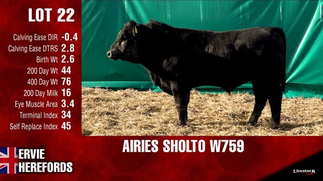 Lot #22 - AIRIES SHOLTO W759