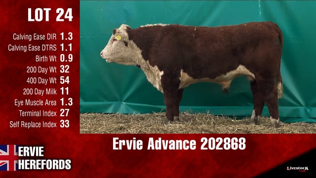 Lot #24 - Ervie Advance 202868