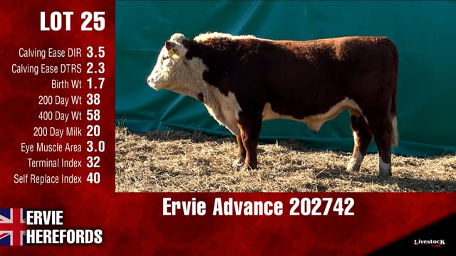 Lot #25 - Ervie Advance 202742