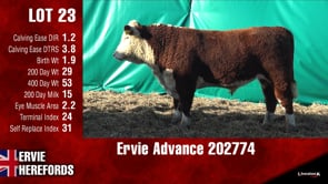 Lot #23 - Ervie Advance 202774